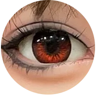 12.webp